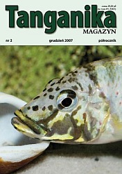 Tanganika Magazyn numer 2