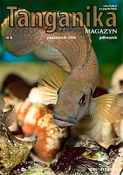 Tanganika Magazyn numer 6
